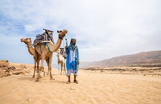 Sunset Camel Ride in Agadir with Dinner in Habitant House
