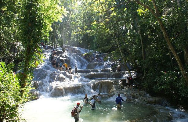 Private Tour to Dunns River and Horseback Riding with Local Guide