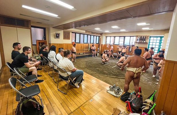 Tokyo Sumo Morning Practice Tour w/ Ring-Side Seat + Photo Shoot