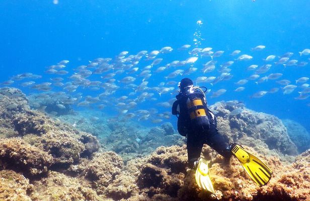 Scuba Diving for Beginner and Experts in Pefkos Lindos