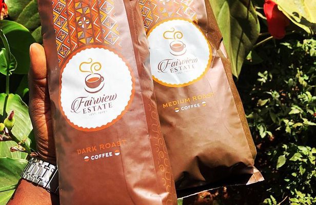 Fairview Coffee Estate, Limuru Kenya Farm Tour From Nairobi