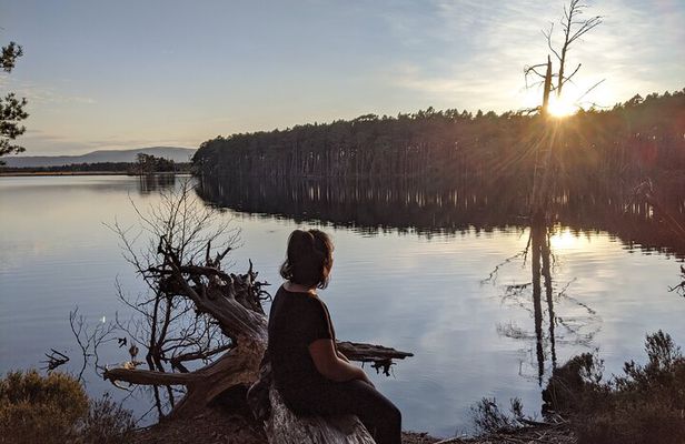 Private Guided Discovery Walk in the Cairngorms