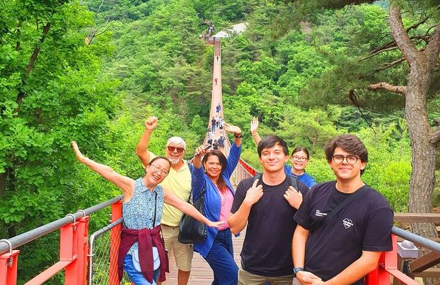 Small Group DMZ Tour from Seoul Korea with North Korean Defector