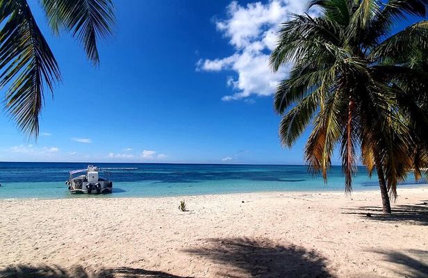 Saona Island Excursion: Small Group on Motorized Trimaran