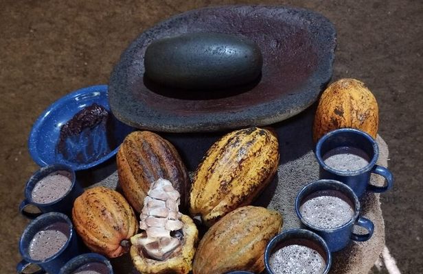 Uvita Chocolate Tour