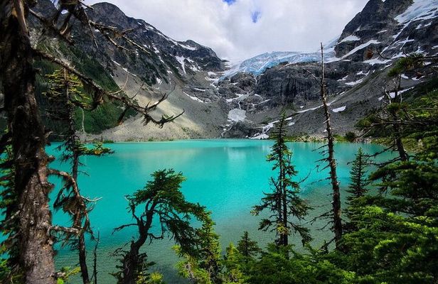Whistler, Brandywine Falls, and Joffre Lakes Private Tour