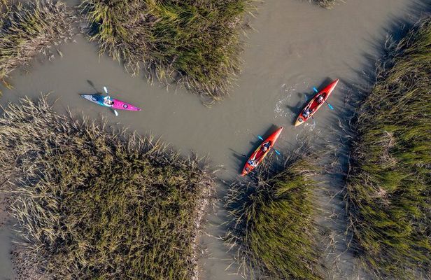 Dolphin Kayak Tour on Folly Beach