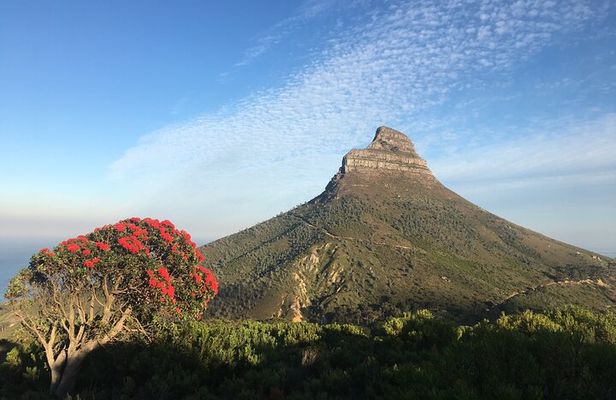 Lion's Head Hike-sunrise/sunset with professional private guide