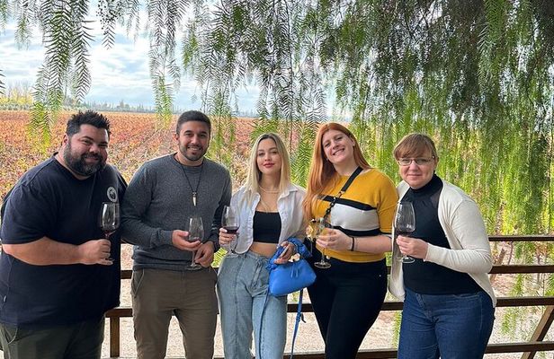 Vineyards Tour in Mendoza: Wine & Olive Oil Tasting Experience