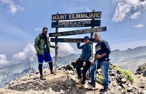 Private Mount Kilimanjaro Day Hike: Shira Plateau or Marangu