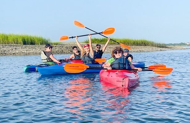 2 1/4 Hour Private Kayak Hilton Head Dolphin Nature Experience