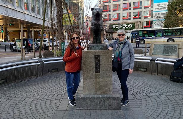 Tokyo in 1 Day from Disney Area with Licensed Local Guide