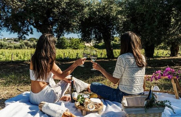 Ischia 3 Hours Wine Experience: Tastings, Vineyards & Pick-up