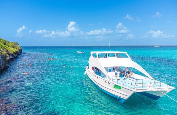 Full-Day Excursion to Discover Catalina Island with Lunch Option 