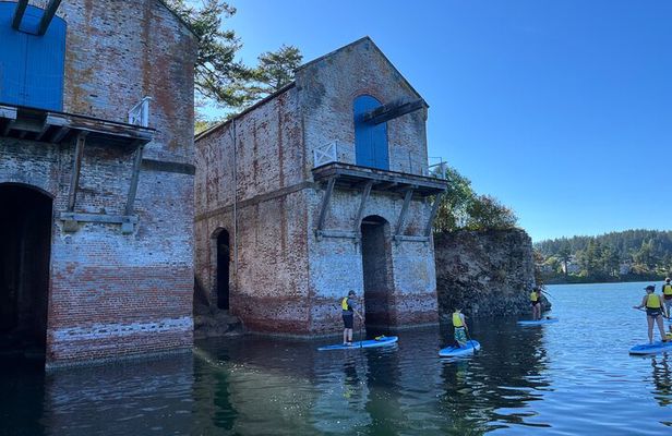 Paddling Esquimalt Harbor to Cole Island