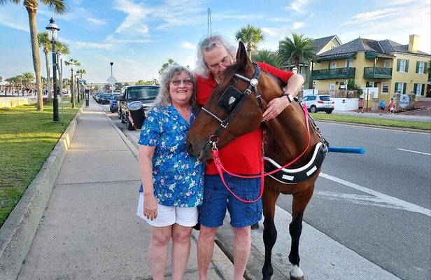 Horse-Drawn Carriage Tour of St Augustine