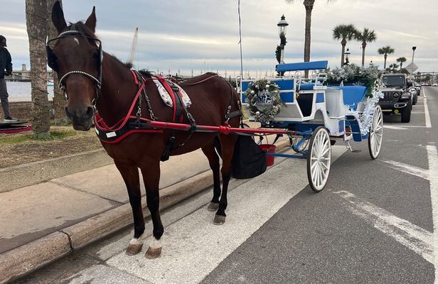 Classic Horse-Drawn Carriage Tour