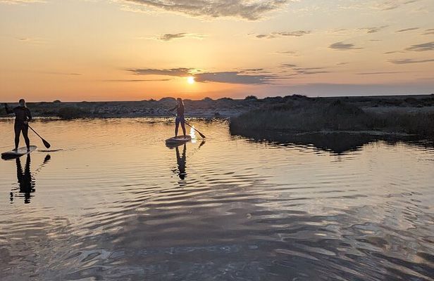 Sardinia: SUP tour at sunset