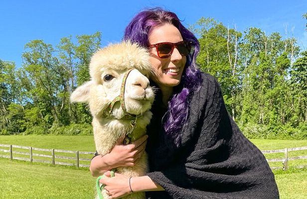 Alpaca and Llama Trek in Pleasant Valley