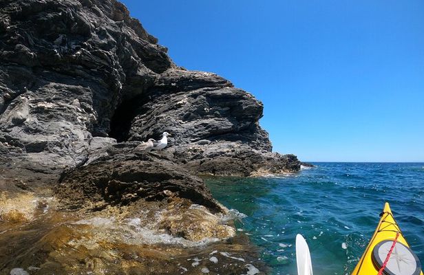 Enchanting Semi Private Kayaking Tours in Milos