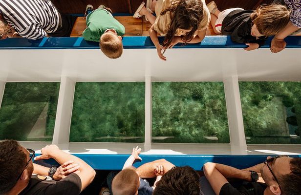 Glass boat tour Fažana with swimming stop