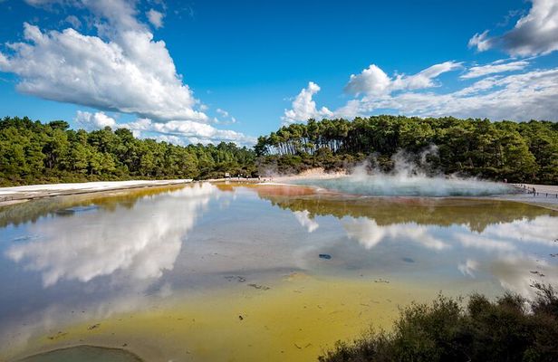 From Auckand: Wai-O-Tapu and Polynesian Spa Rotorua Day Tour