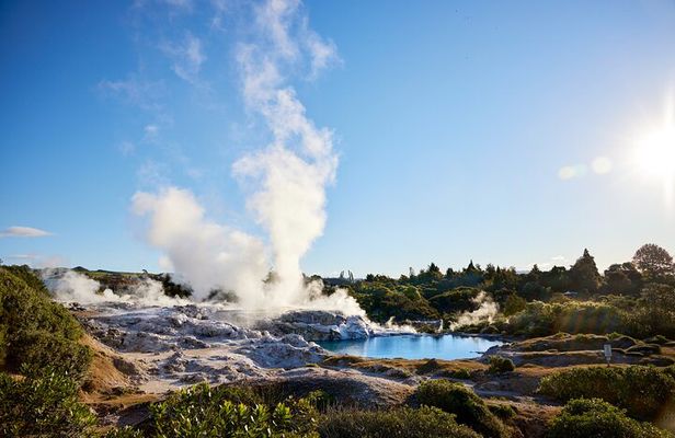 Auckland: Rotorua Māori Village w Haka & Waitomo Caves Day Tour