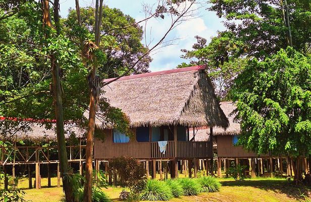 3-Days Tour in the Amazon Rainforest at Curassow Amazon Lodge