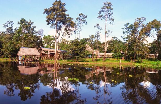 4-Day Amazon Jungle Tour in Iquitos at Curassow Amazon Lodge