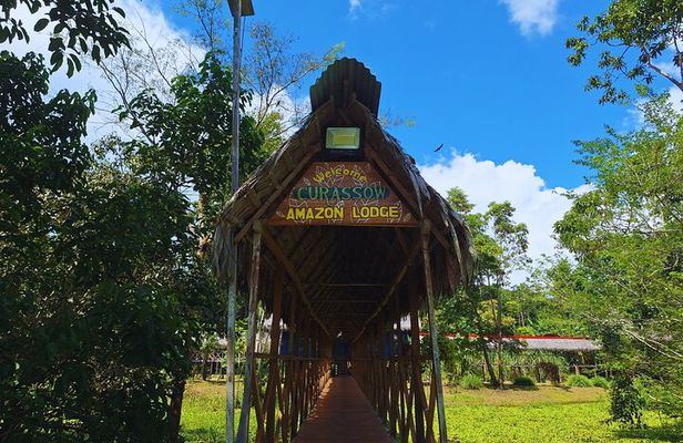 5-Day Primary Rainforest Adventure at Curassow Amazon Lodge
