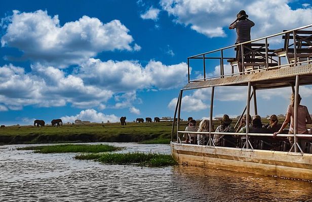 Chobe Botswana Day Trip River and Land Safari from Victoria Falls