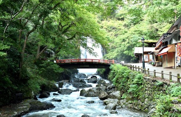 Osaka's Secret Adventures: Daruma Magic and Minoh Falls