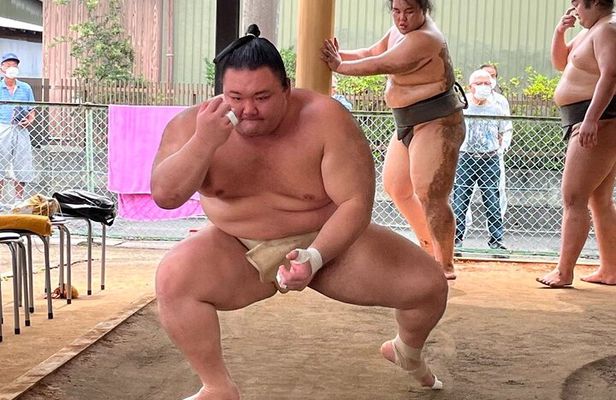 Skip the Line Ticket to Sumo Morning Practice at Nagoya