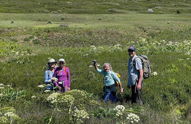 Scenic Coast and Wildlife Tour