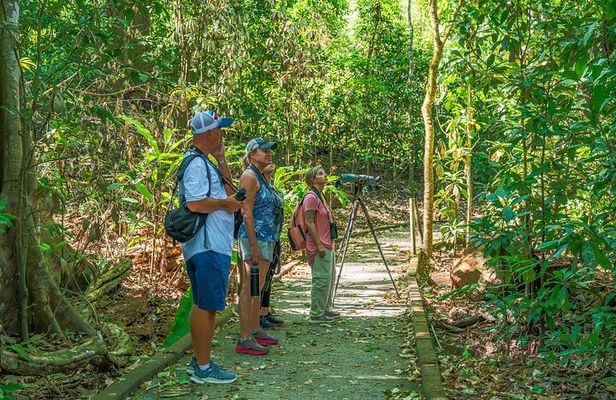Carara National Park Guided Tour