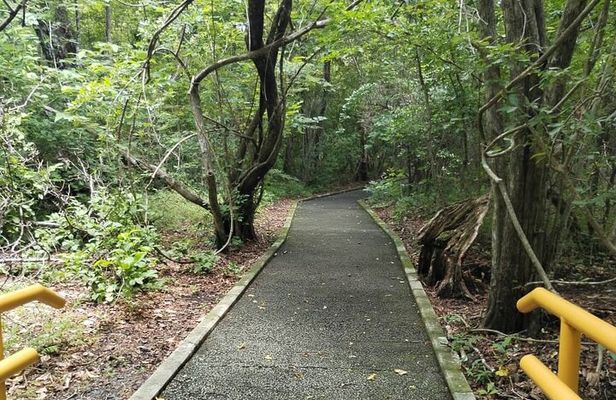 Nature and Culture Experience at Santa Rosa National Park