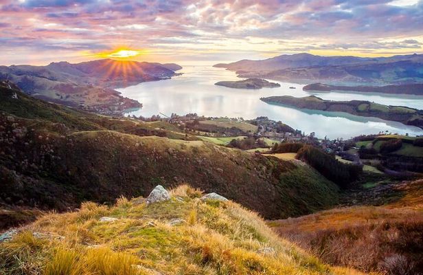 Christchurch City Highlights Half Day Tour