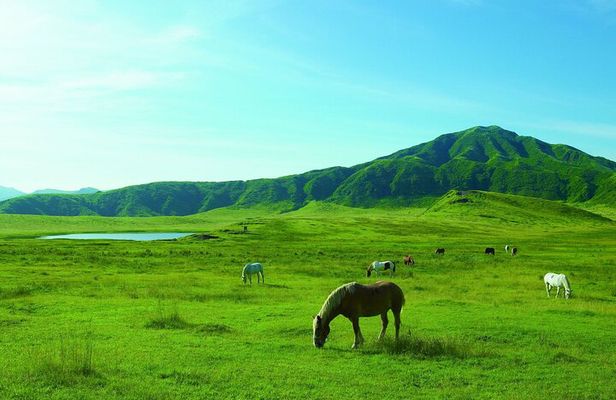 From Kumamoto : Mt.Aso and Takachiho All-inclusive Private Tour