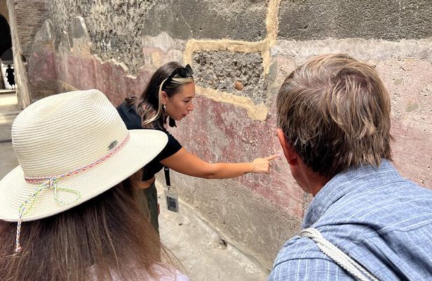 Pompeii: Guided Small Group Tour Max 6 People with Private Option