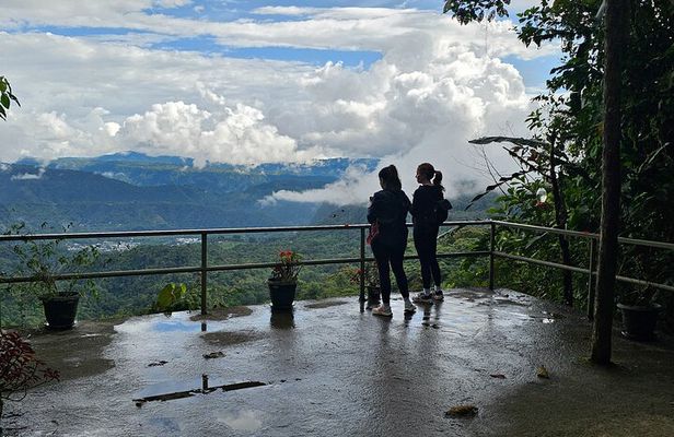 Mindo Cloud Forest: Hummingbirds, Birding & Waterfalls | Private