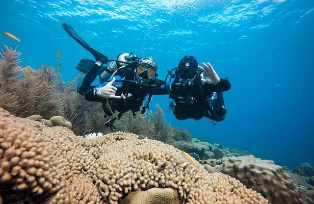 Discover Scuba Diving in Diver's Paradise!