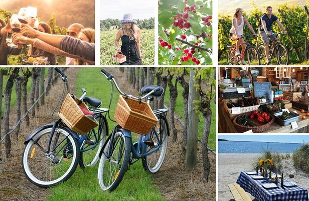 Guided Farm and Wine Country Bike Tour in Mattituck NY