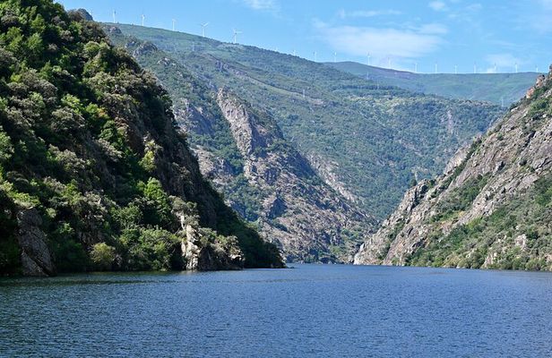 Ribeira Sacra Tour; Canyons, Sil River and Ourense