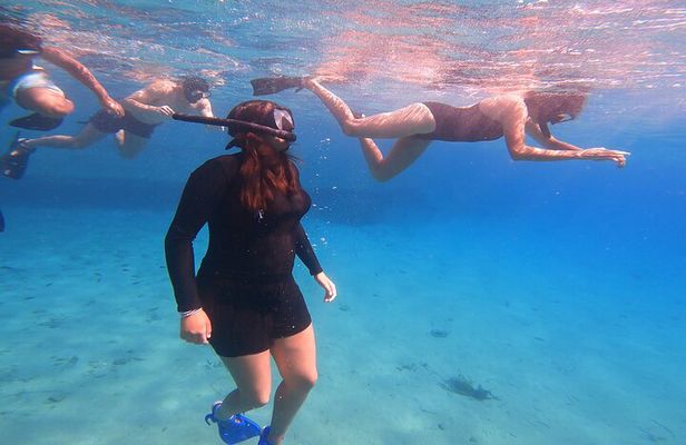Private Snorkeling Adventure with Transportation