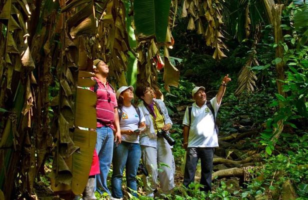 Shared Tour in Mombacho Natural Reserve and Canopy Adventures