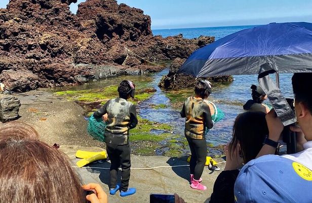 Eastern Jeju: All Inclusive Private Tour w/ Tangerine picking