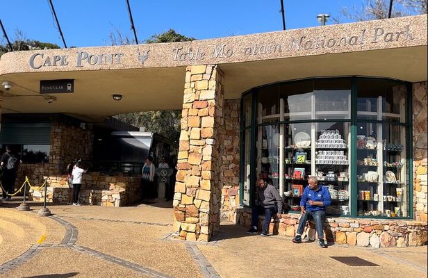 Cape Town Full Day Tour to Boulder Penguins and Cape of Good Hope
