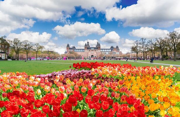 Private Tour Van Gogh & Rijksmuseum