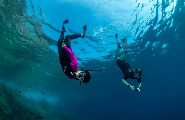 Guided snorkeling in the Portofino Marine Protected Area