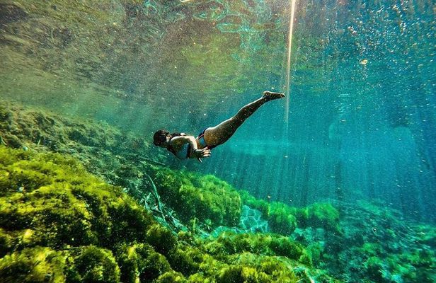 Private Tour Turtles Coral Reef Cenote Beach All inclusive